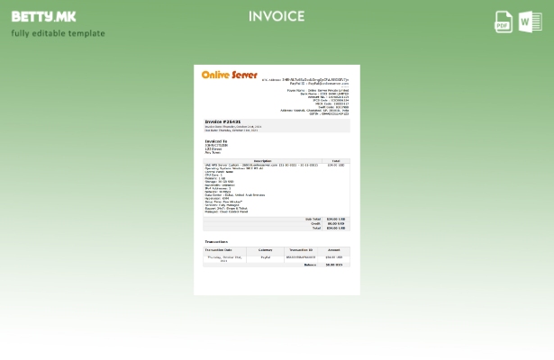Шаблон за фактура на компанија со модерен стил на Индија онлајн сервер